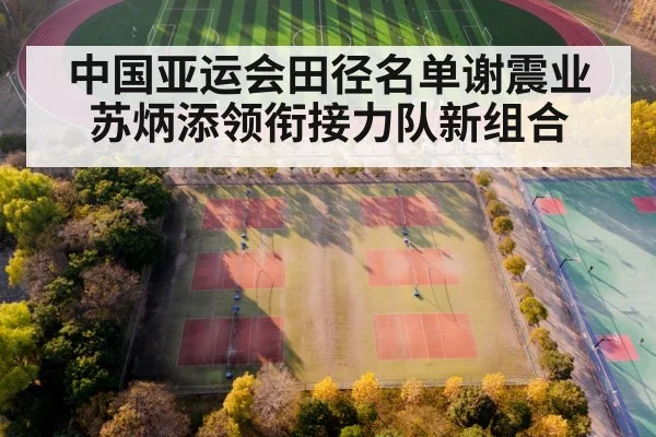 Chinese track and field athletes