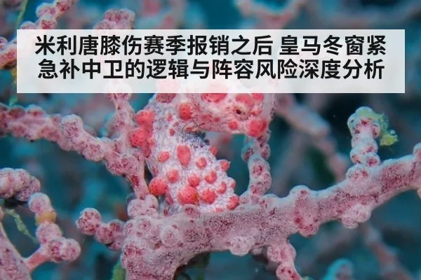 米利唐膝伤赛季报销之后 皇马冬窗紧急补中卫的逻辑与阵容风险深度分析