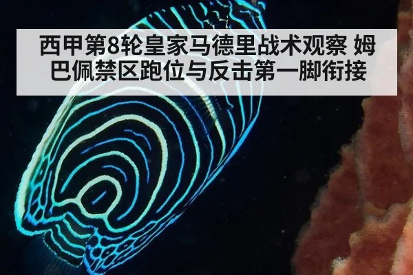 西甲第8轮皇家马德里战术观察 姆巴佩禁区跑位与反击第一脚衔接